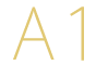 A1